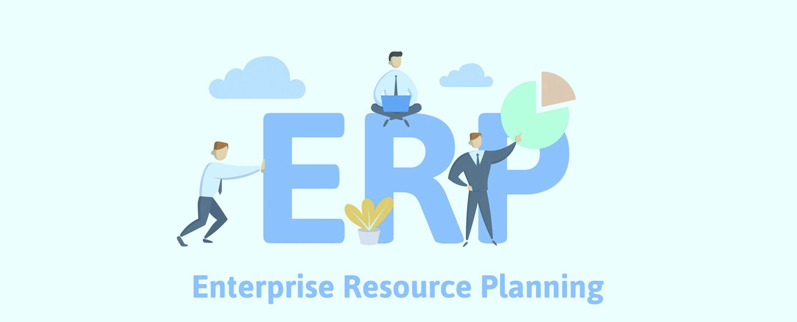 Custom ERP